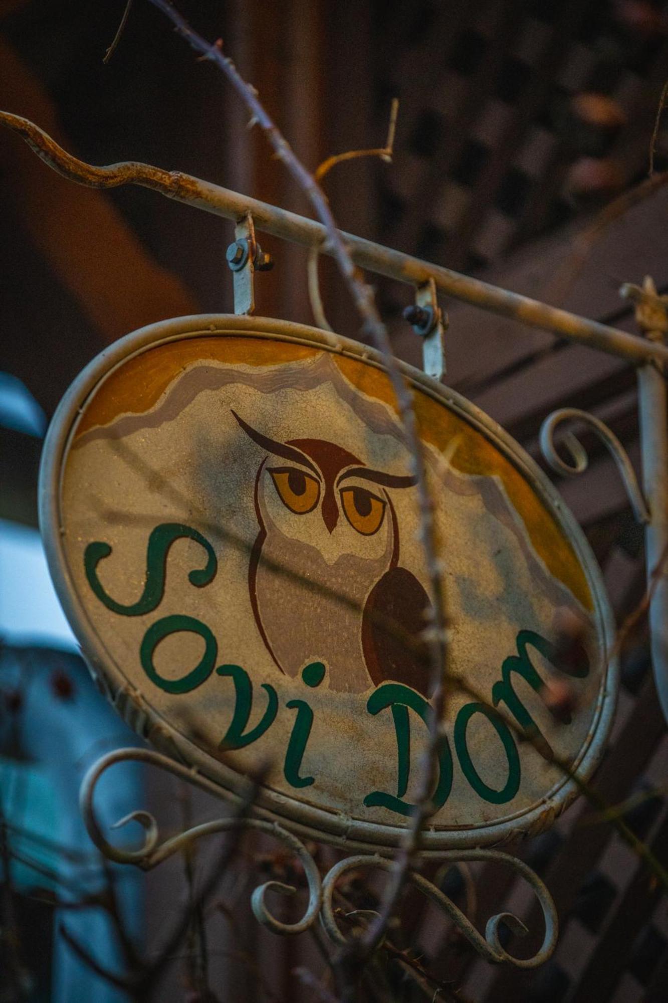 Sovi Dom- Historicke Apartmany Z 19 Storocia, 4Km Od Banskej Stiavnice Svätý Anton Esterno foto