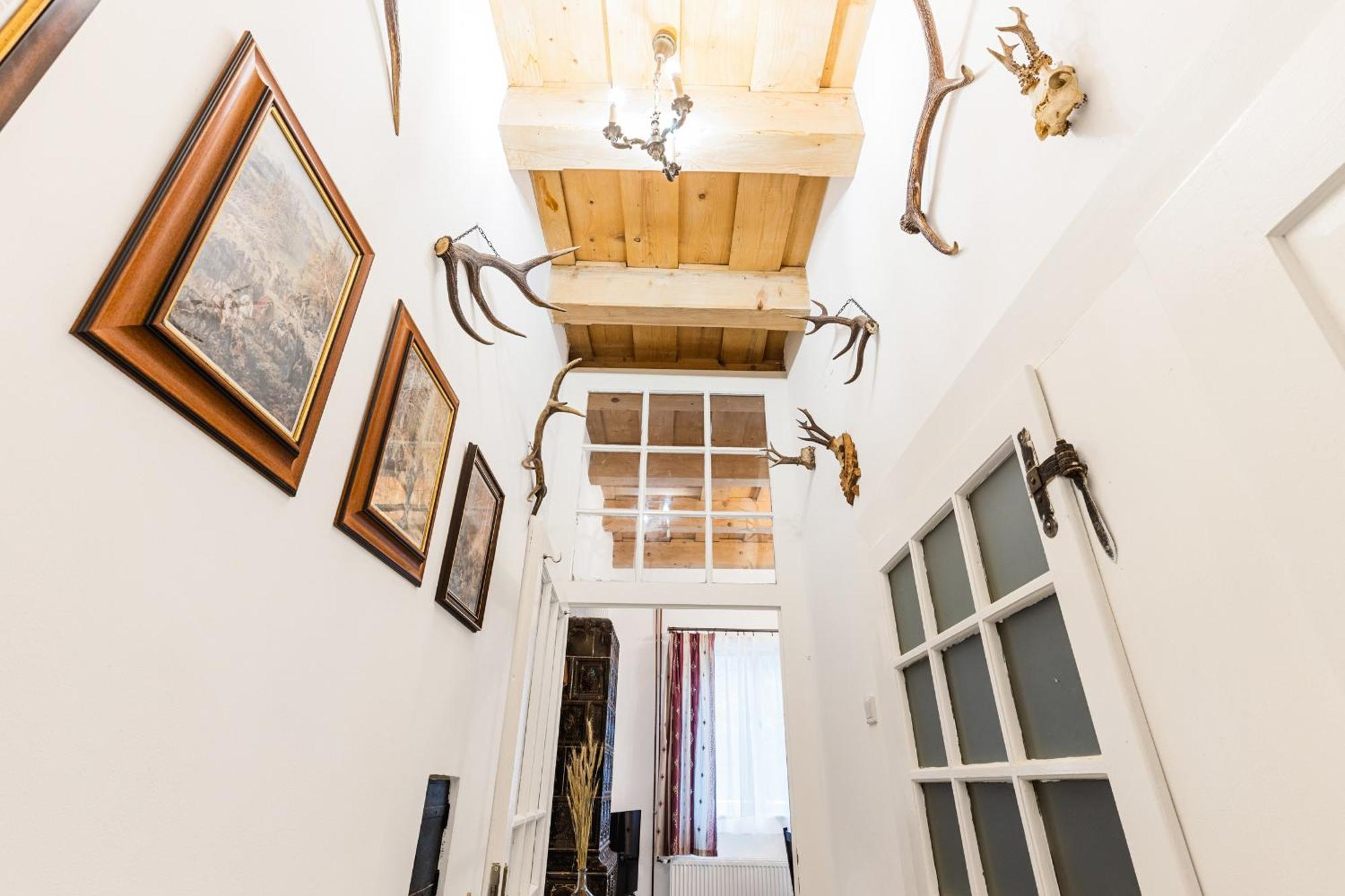 Sovi Dom- Historicke Apartmany Z 19 Storocia, 4Km Od Banskej Stiavnice Svätý Anton Esterno foto